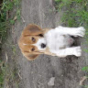 Meet your Posher, Ty